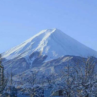 贫民窟宿舍游戏下载