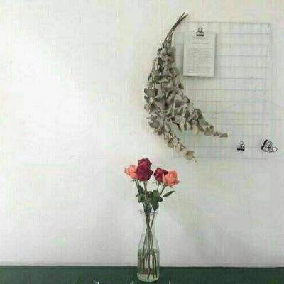 九游卧龙军师传最新版手游
