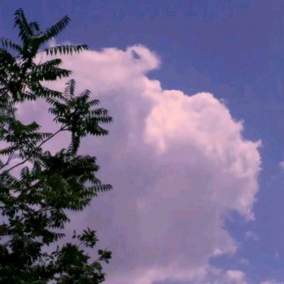 星之召唤士手机版小米官方下载