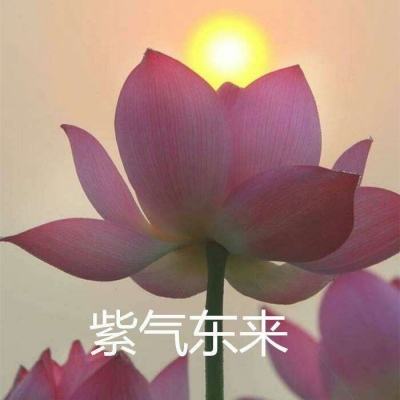灰狼加速神器修改版下载